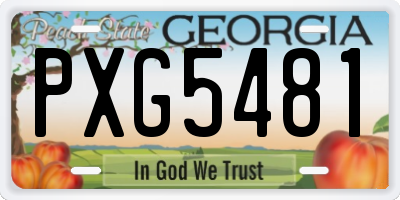 GA license plate PXG5481