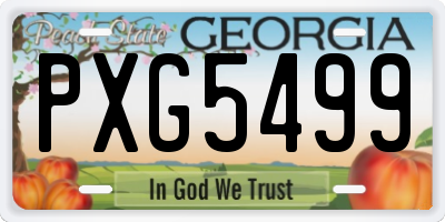 GA license plate PXG5499