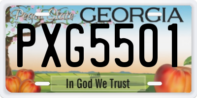 GA license plate PXG5501
