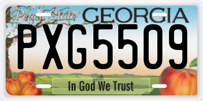 GA license plate PXG5509