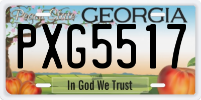 GA license plate PXG5517