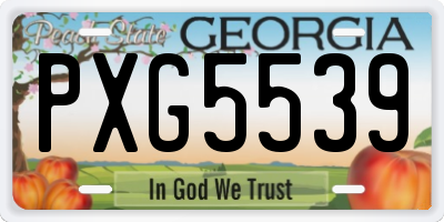 GA license plate PXG5539