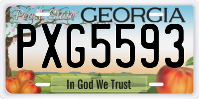 GA license plate PXG5593