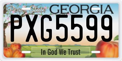 GA license plate PXG5599