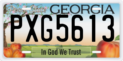 GA license plate PXG5613