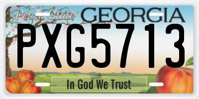 GA license plate PXG5713