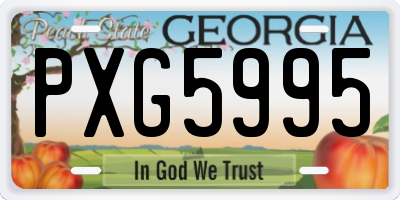 GA license plate PXG5995