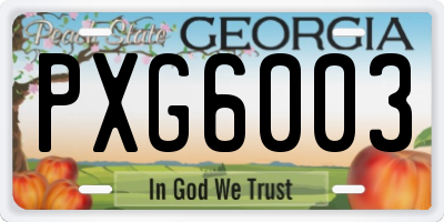 GA license plate PXG6003