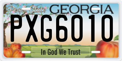 GA license plate PXG6010