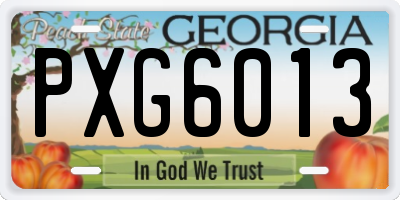 GA license plate PXG6013