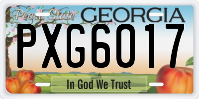 GA license plate PXG6017