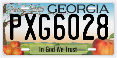 GA license plate PXG6028
