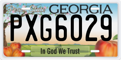GA license plate PXG6029
