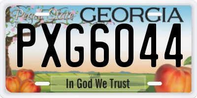GA license plate PXG6044