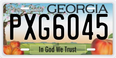 GA license plate PXG6045