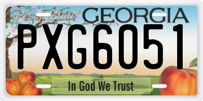 GA license plate PXG6051