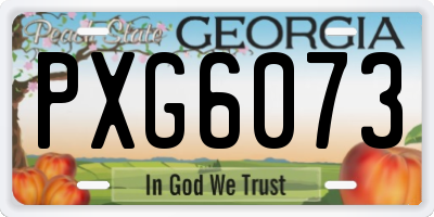 GA license plate PXG6073