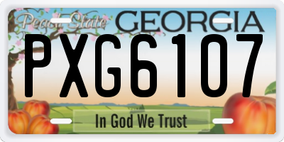 GA license plate PXG6107