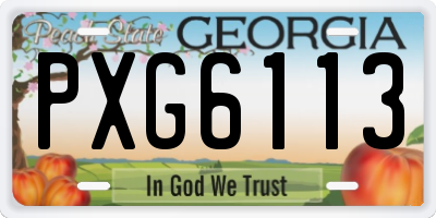 GA license plate PXG6113