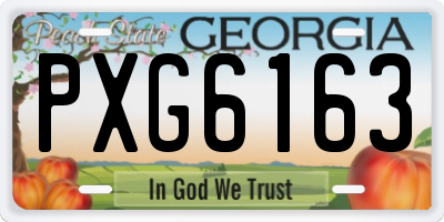 GA license plate PXG6163