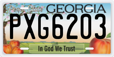 GA license plate PXG6203