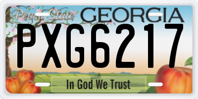 GA license plate PXG6217