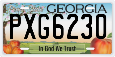 GA license plate PXG6230