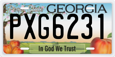 GA license plate PXG6231