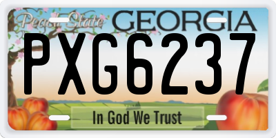 GA license plate PXG6237