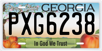 GA license plate PXG6238