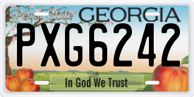 GA license plate PXG6242