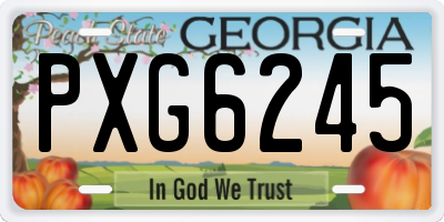 GA license plate PXG6245