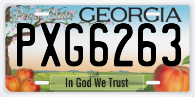 GA license plate PXG6263