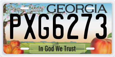 GA license plate PXG6273