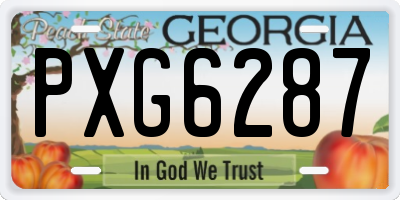 GA license plate PXG6287