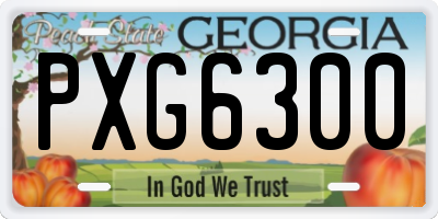 GA license plate PXG6300
