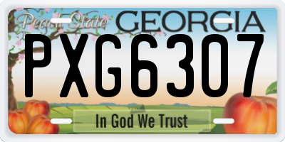 GA license plate PXG6307
