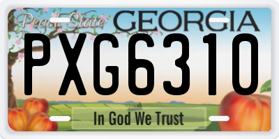 GA license plate PXG6310