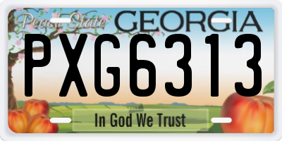GA license plate PXG6313