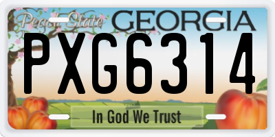 GA license plate PXG6314