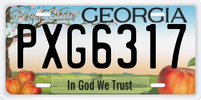 GA license plate PXG6317