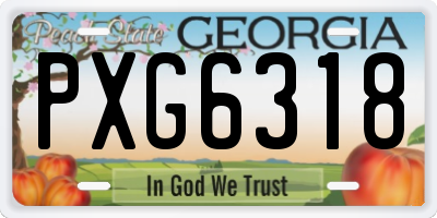 GA license plate PXG6318