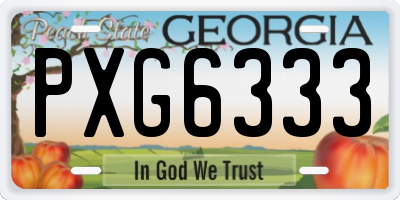 GA license plate PXG6333
