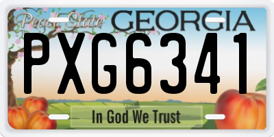 GA license plate PXG6341