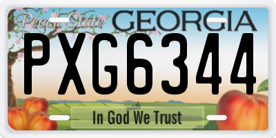 GA license plate PXG6344