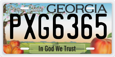 GA license plate PXG6365