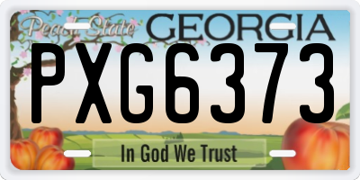 GA license plate PXG6373