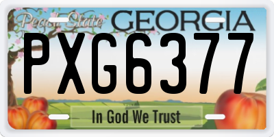 GA license plate PXG6377