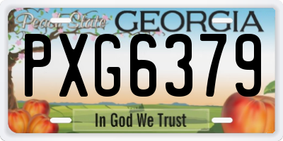 GA license plate PXG6379