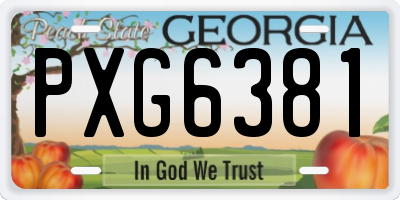 GA license plate PXG6381